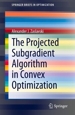 The Projected Subgradient Algorithm in Convex Optimization - Zaslavski, Alexander J