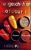 Kurzgeschichten-Potpourri