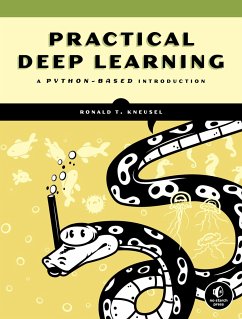 Practical Deep Learning - Kneusel, Ron