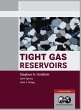 Tight Gas Reservoirs - Bild 1
