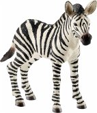 Schleich 14811 - Wild Life, Zebra Fohlen, Tierfigur