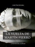 La vuelta de Martín Fierro (eBook, ePUB)