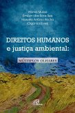 Direitos humanos e justiça ambiental (eBook, ePUB)
