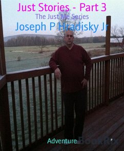 Just Stories - Part 3 (eBook, ePUB) - P Hradisky Jr, Joseph