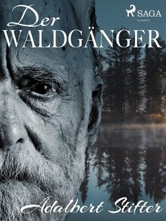 Der Waldgänger (eBook, ePUB) - Stifter, Adalbert