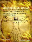 From Microbe to Man: Biological responses in microbes, animals and humans upon exposure to artificial static magnetic fields (eBook, ePUB)