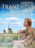 Franz Sternbalds Wanderungen (eBook, ePUB)