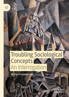 Troubling Sociological Concepts (eBook, PDF) - Hammersley, Martyn