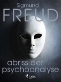 Abriss der Psychoanalyse (eBook, ePUB)