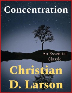 Concentration (eBook, ePUB) - D. Larson, Christian