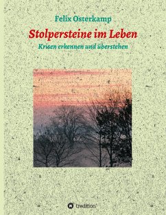 Stolpersteine im Leben - Krisen erkennen und überstehen - Osterkamp, Felix-Daniel