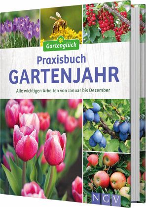 Praxisbuch Gartenjahr portofrei bei bücher.de bestellen