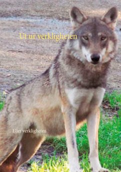 Ut ur verkligheten (eBook, ePUB) - Håkansvik, Håkan