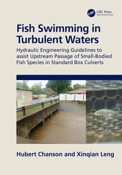 Cover Fish Swimming in Turbulent Waters (eBook, PDF)