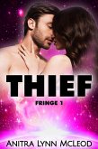 Thief (Fringe, #1) (eBook, ePUB)