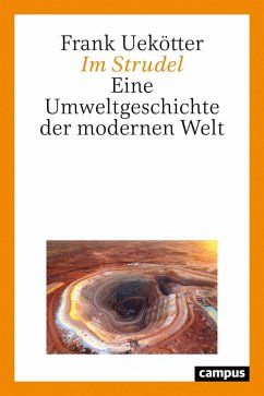 Im Strudel (eBook, PDF) - Uekötter, Frank