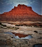 Ode to Johann Sebastian Bach (eBook, ePUB)