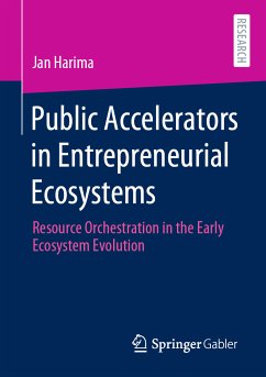 Public Accelerators in Entrepreneurial Ecosystems (eBook, PDF) - Harima, Jan