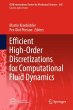 Efficient High-Order Discretizations... - Bild 1