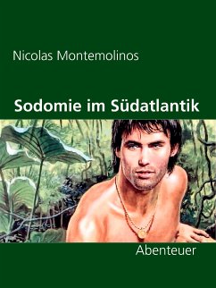 Sodomie im Südatlantik (eBook, ePUB)