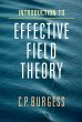 Introduction to Effective Field Theory - Bild 1