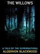 The Willows (eBook, ePUB) - Bild 1