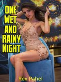 One Wet and Rainy Night (eBook, ePUB)