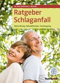 Ratgeber Schlaganfall (eBook, PDF)