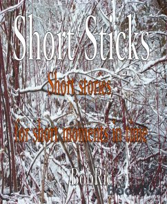 Short Sticks (eBook, ePUB) - Ric, bob