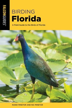 Birding Florida - Minetor, Randi; Minetor, Nic