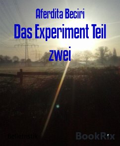 Das Experiment Teil zwei (eBook, ePUB) - Beciri, Aferdita