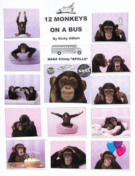 Twelve Monkeys on a Bus (eBook, ePUB) Twelve Monkeys on a Bus (eBook, ePUB)