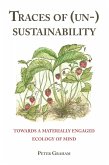 Traces of (Un-) Sustainability (eBook, ePUB)