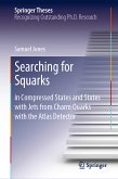 Searching for Squarks (eBook, PDF)