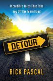 Detour (eBook, ePUB)