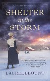Shelter in the Storm (eBook, ePUB)