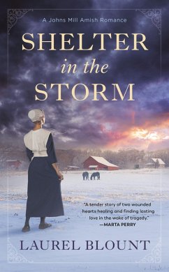 Cover Shelter in the Storm (eBook, ePUB)