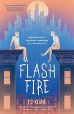 Flash Fire (eBook, ePUB)