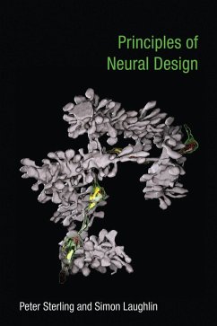 Principles of Neural Design (eBook, ePUB) - Sterling, Peter; Laughlin, Simon