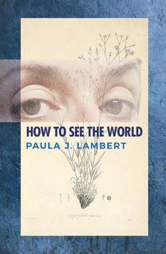 How to See the World: Poems - Lambert, Paula J.