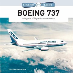 Boeing 737 - Borgmann, Wolfgang