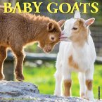 Baby Goats 2021 Wall Calendar