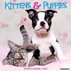 Kittens & Puppies 2021 Wall Calendar