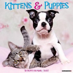 Kittens & Puppies 2021 Wall Calendar - Willow Creek Press
