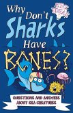 Why Don't Sharks Have Bones?