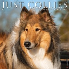Just Collies 2021 Wall Calendar (Dog Breed Calendar) - Willow Creek Press