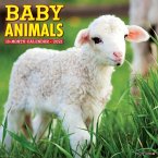 Baby Animals 2021 Wall Calendar