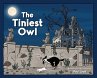 The Tiniest Owl - Bild 1