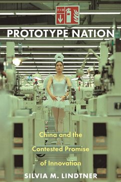 Prototype Nation (eBook, ePUB) - Lindtner, Silvia M.