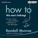 HOW TO - Wie man's hinkriegt (MP3-Download)